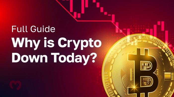 Full Guide: Why is Crypto Down Today?