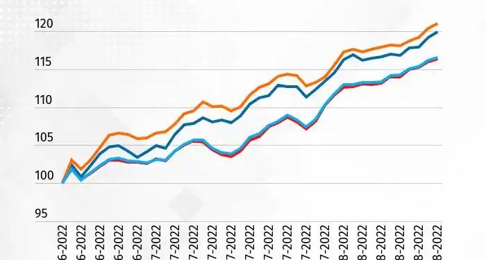 Profitability, Liquidity, and Investability: The Key Drivers of Long ...